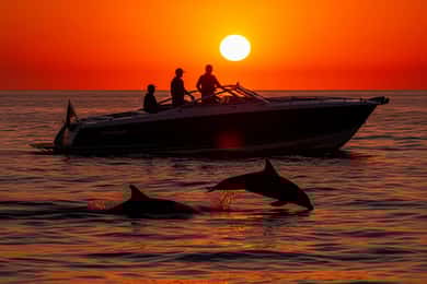 Shut Up and Sunset mit Delfinen im Nationalpark Brijuni auf einem Schnellboot