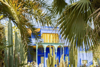 Esplora Marrakech: Majorelle, YSL, monumenti e mercati