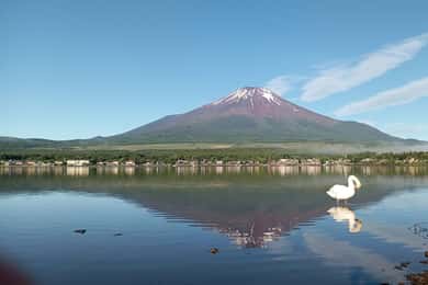 Privétour van een dag naar de berg Fuji vanuit Tokio (aanpasbaar)