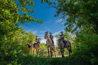 Fontainebleau: jazda konna, gastronomia i zamek