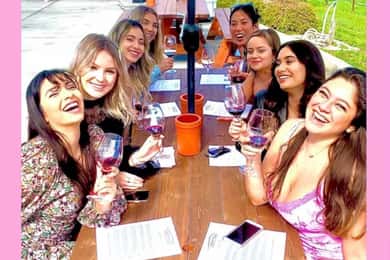 San Fransisco: Vintage VW Bus Wine Country Tour Small Group