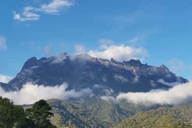 Kota Kinabalu: 4-dages tur, natur, flod og by