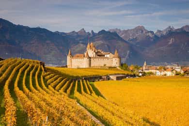 Private day trip: Lausanne to Vevey, Montreux & Aigle Castle