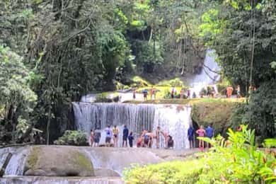 Jamaica: Excursão de Safari às Cataratas de YS e ao Rio Negro