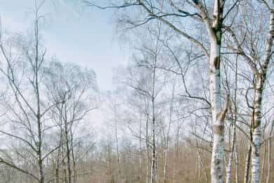 Discover the Liège nature on Trail / hiking-running