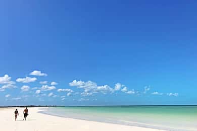 Vanuit Tulum: Holbox & Isla Pasion Tour met Cenote