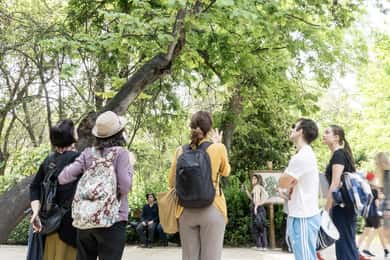 Descubra o mundo das ervas no Jardim Nacional de Atenas