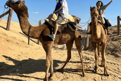 Jodhpur: Desert Camel and Jeep Safari with Traditional Food