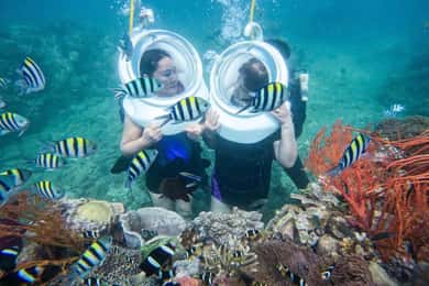 Circuit des 4 îles de Phu Quoc avec plongée avec tuba et parc aquatique avec téléphérique