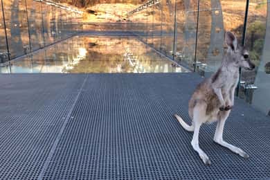 Cobbold Gorge 3 hour tour