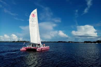 Baden: Gulf of Morbihan Exploration by Catamaran