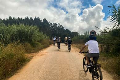 Nazaré - Óbidos E-bike e Vinho tour