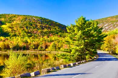 Acadia & Mount Desert Island: Private Full-Day Tour