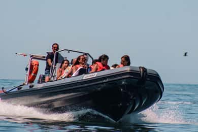 Vilamoura: Private Benagil Cave Tour Swim Stop