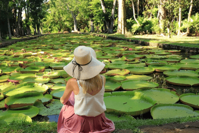 North Tour: Port Louis, Caudan, Citadelle, Botanical Garden