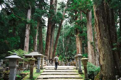 Mount Koya from Osaka: Cultural Small Group Day Tour