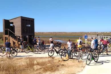Ria Formosa: Tour guiado de bicicleta (3h), Início na Quinta do Lago