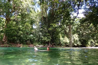 Cairns: Explorer Tour- Cairns Waterfalls