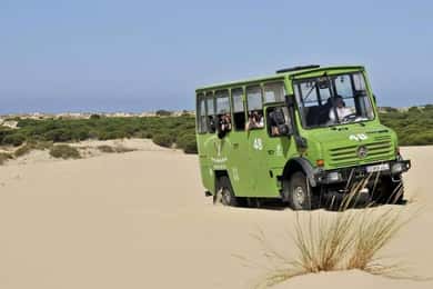 Doñana: Tour 4x4 parque nacional y playas