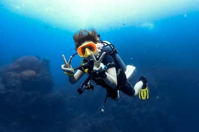 Koh Samui: 3-dages PADI Open Water Diver-kursus