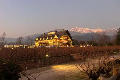 Alyan Family Wines | Solnedgångsturen