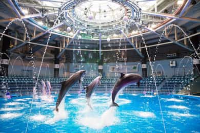 Tokio: Vstupenka s přímým vstupem do Maxell Aqua Park Shinagawa