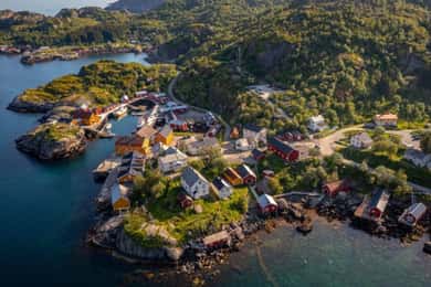 From Svolvær: Explore Nusfjord & Henningsvær, in 1 day
