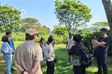 Nairobi : Visite d'une ferme de café avec prise en charge