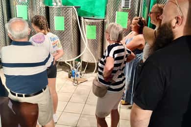 Seggiano: Extra Virgin Olive Oil Museum Visit and Tasting