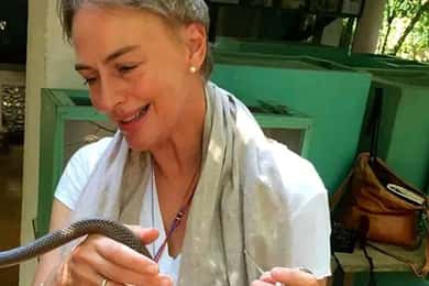 Malindi: Full-Day City Highlights Tour with Gede Ruins