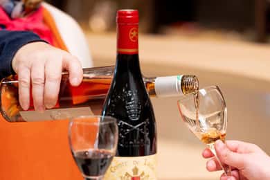Discover Avignon combined with unique food & wine tasting