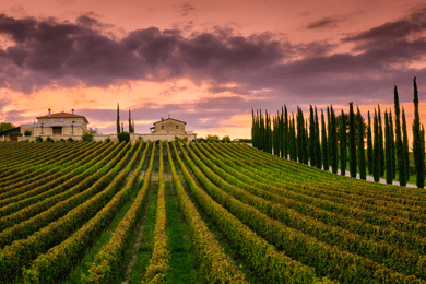 From Roma: Montepulciano and Montalcino, on the Wine Routes