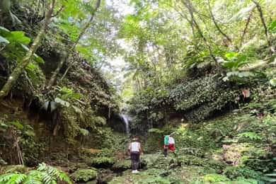 Lawyer Stephen Hike with Waterfall and Cave Hike