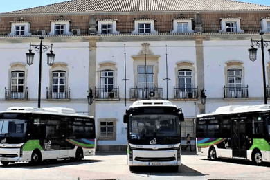 Explore a área de Portimão com o passe de ônibus de 3 e 7 dias