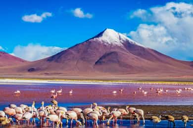 From Atacama | Uyuni salt flat 4 days the largest salt flat