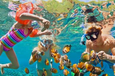 Cartagena: 6 paragens nas Ilhas Rosário, Oceanário, almoço e mergulho com snorkel