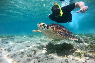 Gili Islands: Private Snorkeling Boat Tour with Local Guide