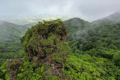 Volcano Hike To Mt. Liamuiga (Highest Peak On Island)