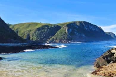 Port Elizabeth: Tsitsikama National Park full-day