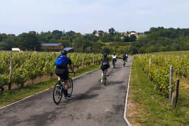Bordeaux by Gravel Bike : Monumets, vineyards & wine tasting