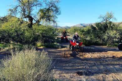 Cave Creek: Honda TRX250 ATV Rental