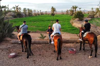 Marrakech: Privat ridetur i palmelunden med te