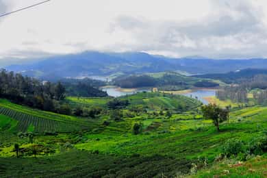 10-Day Guided Tour of Iconic Destinations in south india