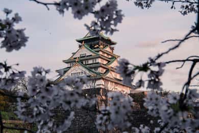 Osaka/Nara/Kyoto: tour privato con guida in inglese