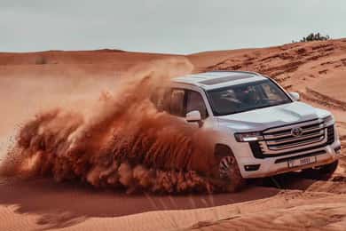 Doha: Desert Safari with Activities and Inland Sea Stop