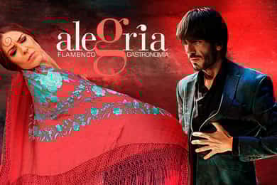 Alegría Flamenco in Malaga, met transfer, cocktail en eersteklas locatie
