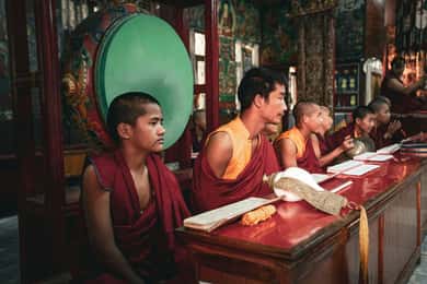 Explore Dharamshala's monasteries for Tibetan spirituality