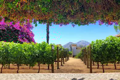 Santiago: vrhunski obilazak Santa Rite + privatni prijevoz