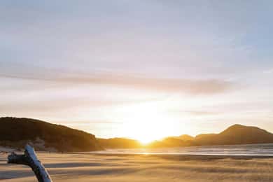 Mt. Eden, Piha Beach & Karekare Waterfalls - PRIVATE TOUR