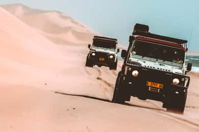 Walvis Bay: Dolfijn cruise, roze meren en 4x4 duinrit
